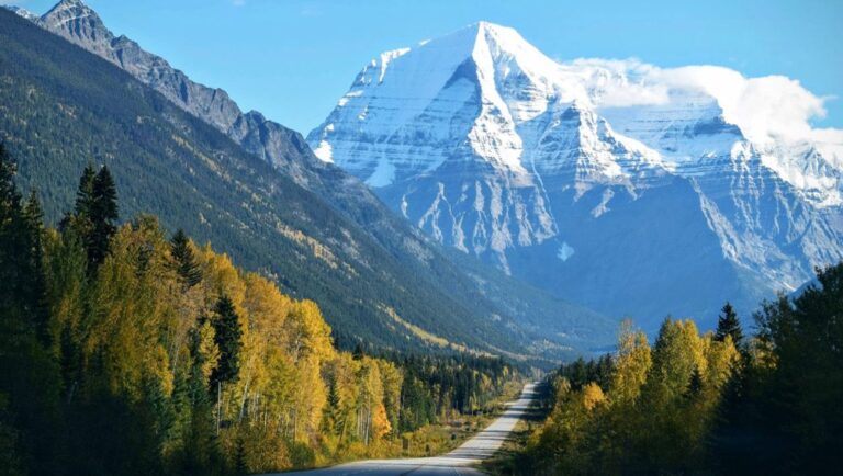 Read more about the article Separated they live in Bookmarksgrove