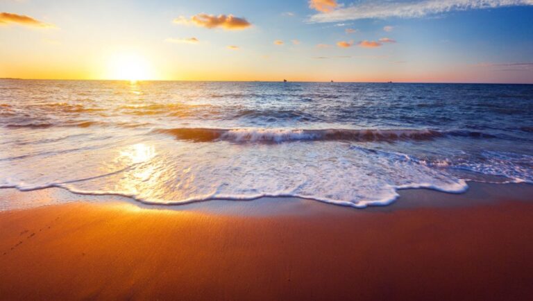 Read more about the article Pityful a rethoric question ran